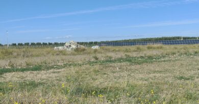 Cerignola, veleni e omertà nella nuova Terra dei Fuochi