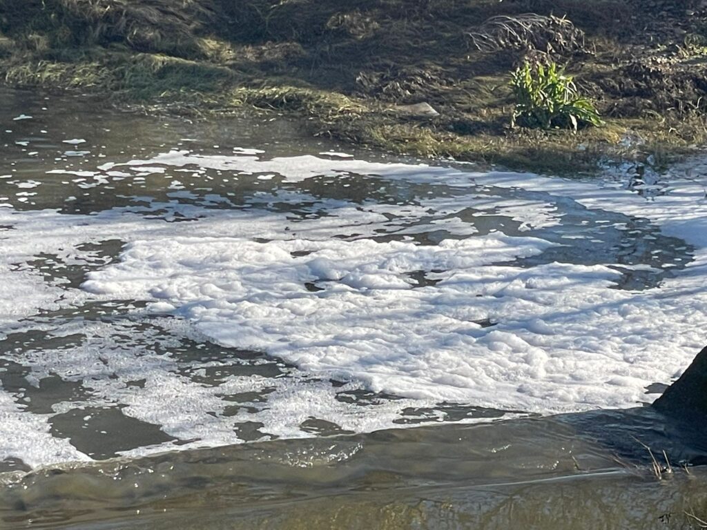 FOTO e VIDEO | Il fiume Ofanto è inquinato: schiuma bianca in contrada Tavoletta 